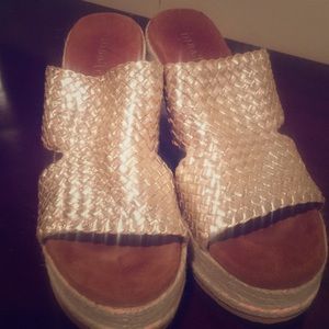 Beautiful silver wedges